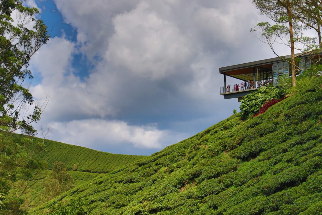 Cameron Highlands