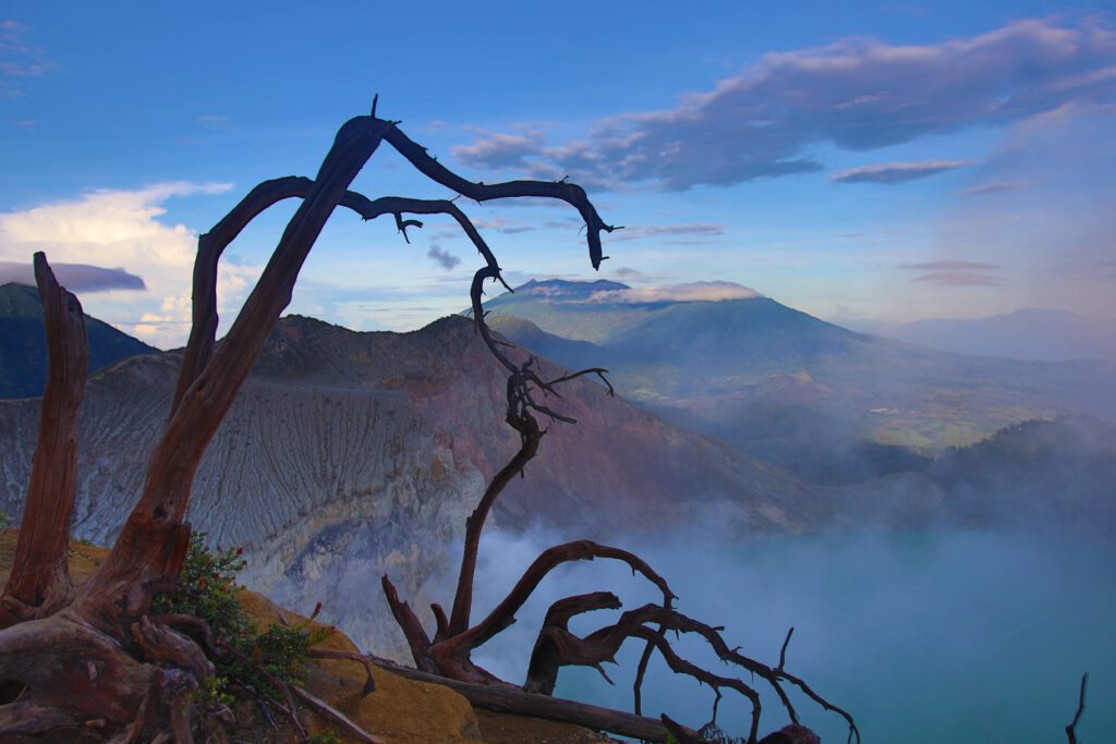 Bayunwangi